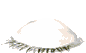 Практика on-line